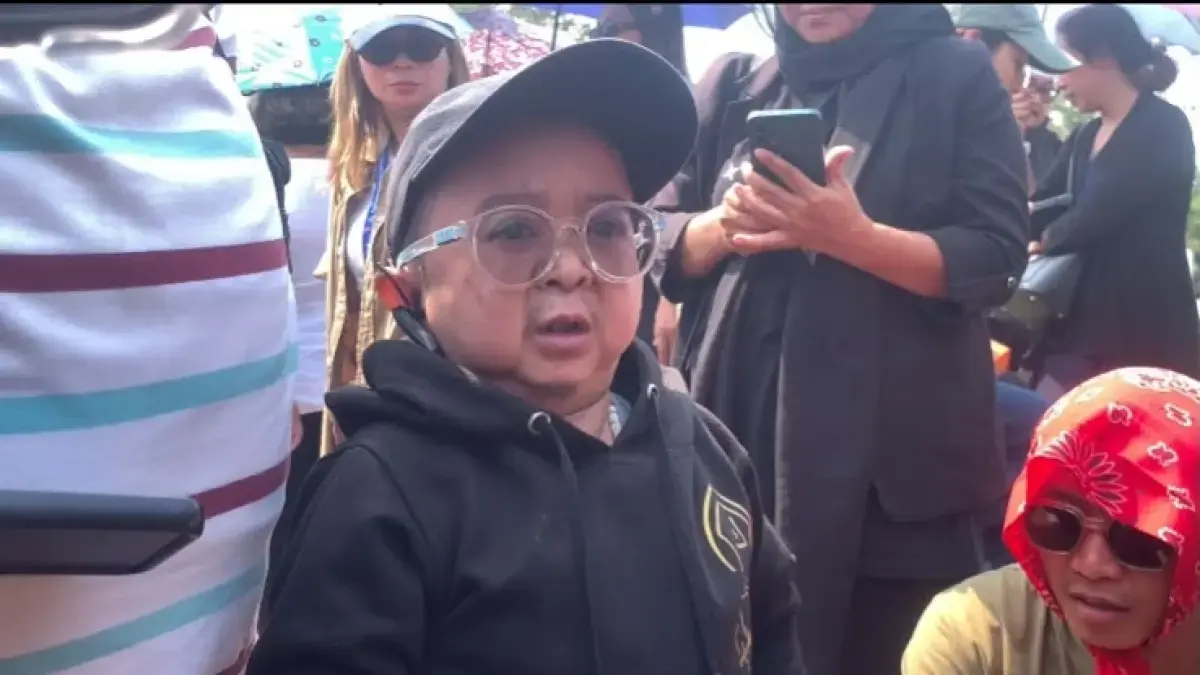 Daus Mini. 