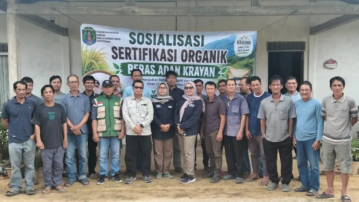 PERTANIAN : DKPP Nunukan memberikan pendampingan sertifikasi organik yang berlangsung di Desa Long Puak, Kecamatan Krayan.&nbsp;