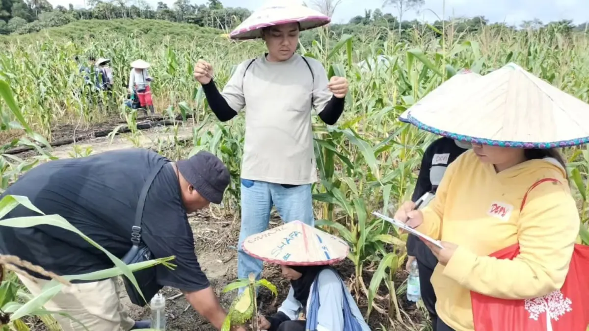 PERTANIAN: Pelaksanaan Sekolah Lapangan Agrokompleks di Desa Long Buang, Kecamatan Peso, Bulungan. FOTO: RADAR TARAKAN