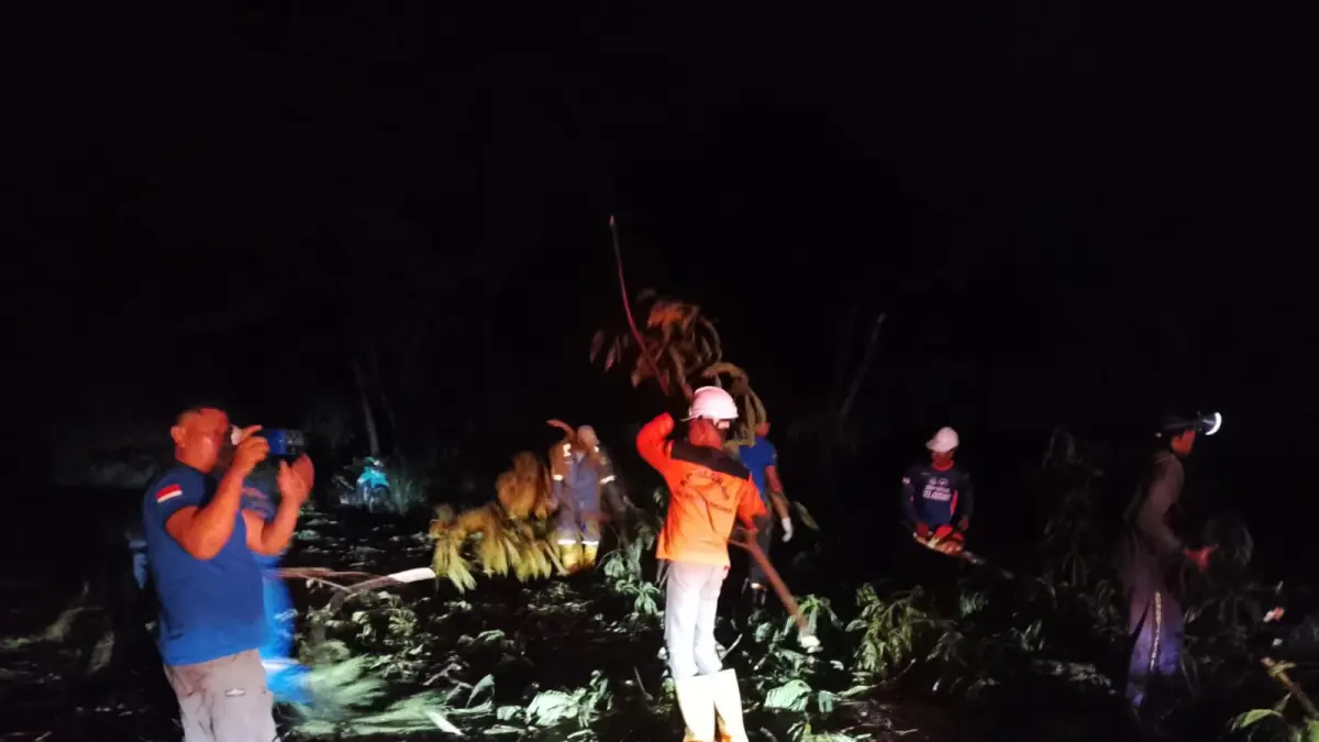 CUACA EKSTREM: BPBD Tarakan mencatat sedikitnya 13 pohon tumbang, dua kejadian longsor, serta empat rumah warga mengalami kerusakan akibat cuaca ekstrem beberapa hari di Kota Tarakan.&nbsp;