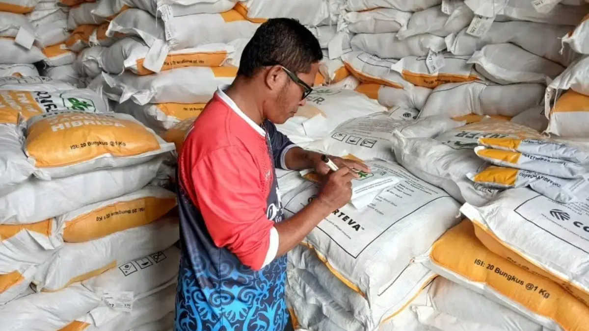 UJI MUTU BENIH: Petugas Dinas Pertanian Kabupaten Bulungan melakukan pengambilan sampel benih jagung hibrida varietas Pioneer P27 bantuan APBN 2026 di gudang penyimpanan. FOTO: DISPERTA BULUNGAN BULUNGAN