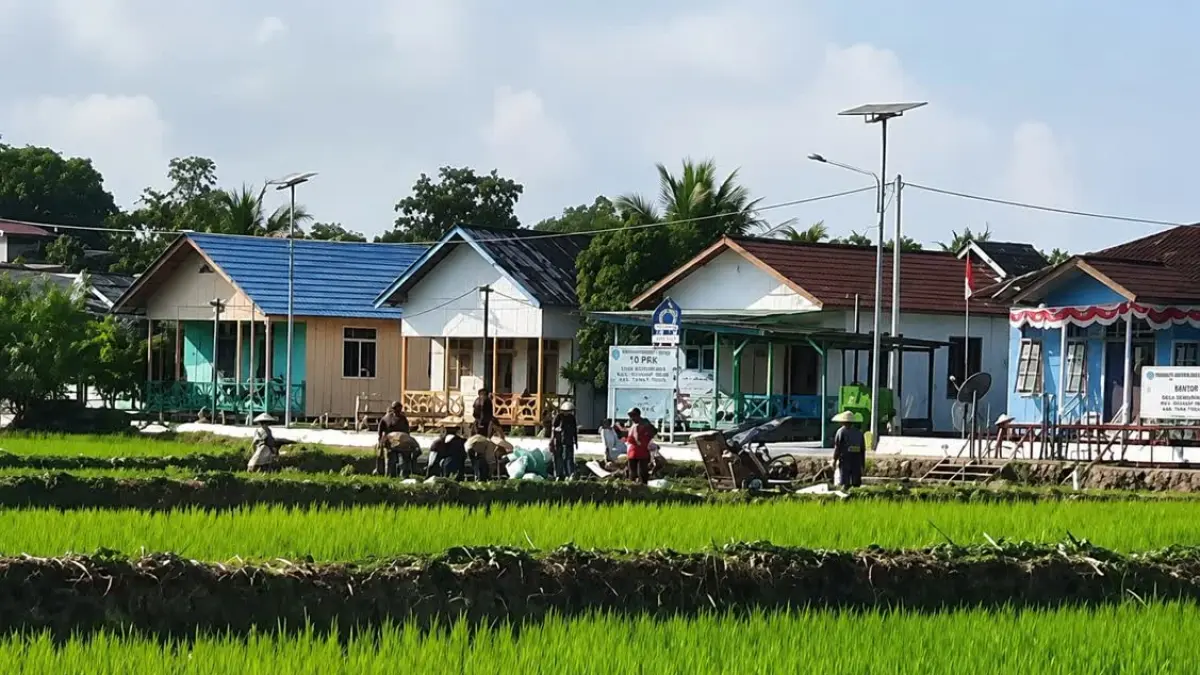 MENUNGGU LISTRIK: Suasana Desa Sengkong yang dihiasi hamparan sawah yang berada di pekarangan rumah warga. (FOTO; IST)