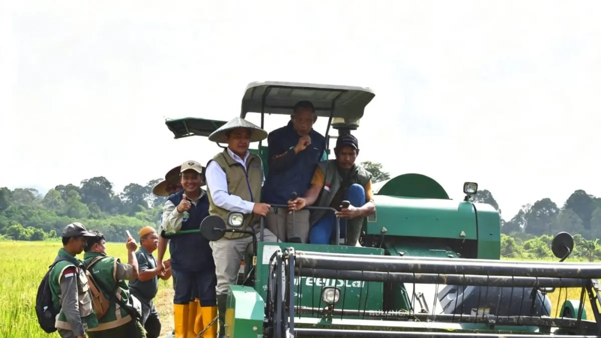 PANEN PADI : Bupati Bulungan, Syarwani menaiki combine harvester memanen padi.