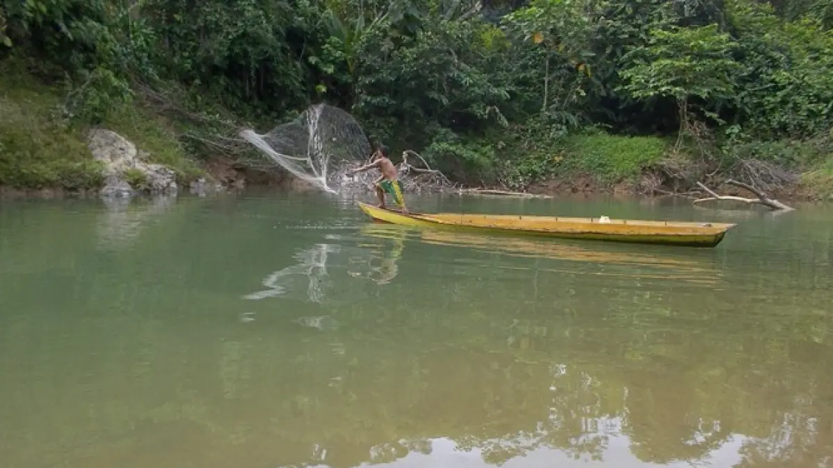 PUNAN ADIU: Potret komunitas MHA Punan Adiu yang menjadikan hutan sebagai sumber penghidupan. FOTO: DIPA/RADAR TARAKAN