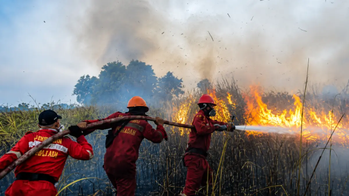 KARHUTLA: Petugas BPBD Tarakan melakukan penanganan kebakaran hutan dan lahan (karhutla) di salah satu titik kebakaran. ISTIMEWA