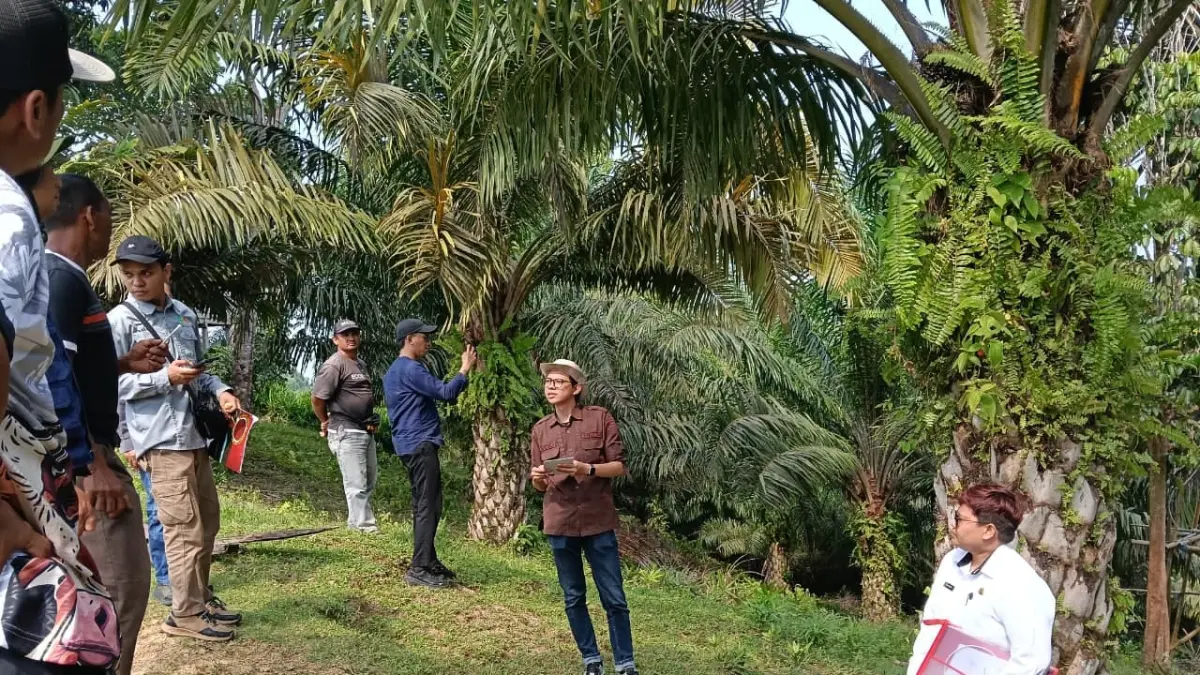 PEMERIKSAAN : DKPP Nunukan bersama Tim DPKP Kaltara, Direktorat Jenderal Perkebunan Kementerian Pertanian melakukan verifikasi terhadap Gapoktan.&nbsp;