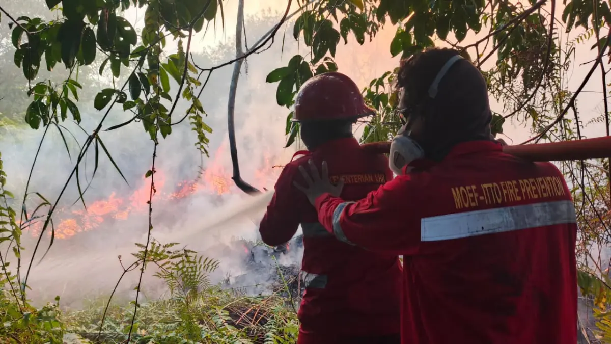 PENANGANAN: Pemadaman karhutla oleh petugas di Kaltara. FOTO: DOK BPBD KALTARA