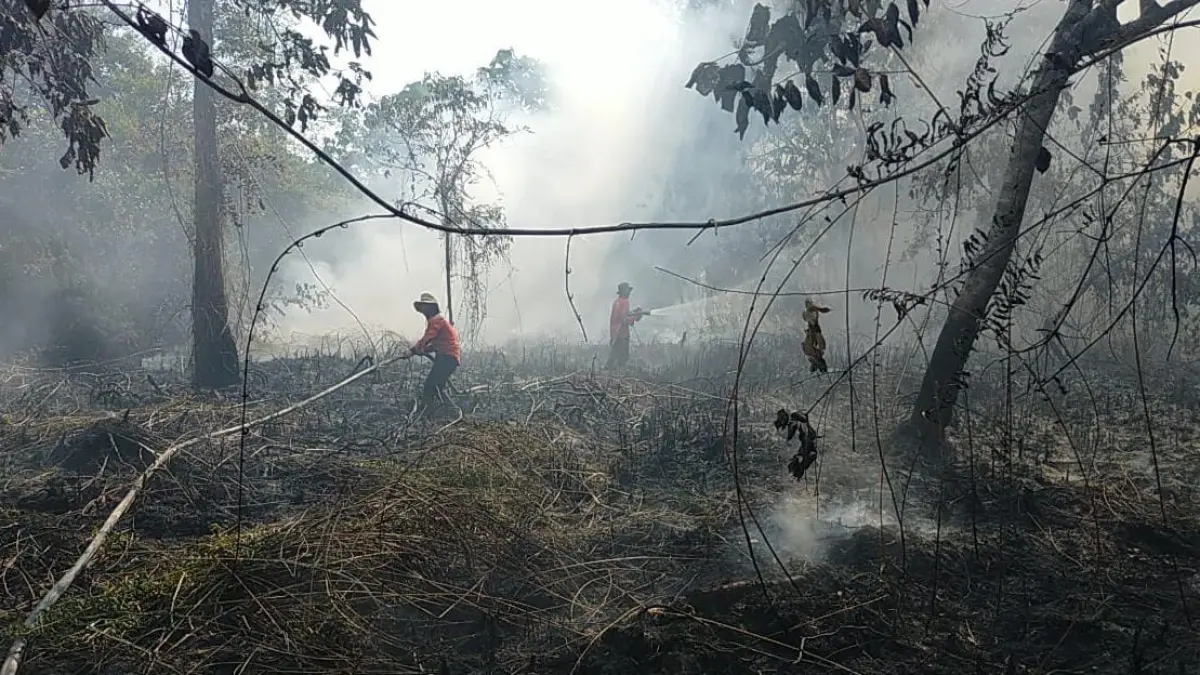 WASPADA: Karhutla yang terus menghantui masyarakat di tengah kondisi cuaca ekstrem saat ini. FOTO: BPBD KALTARA