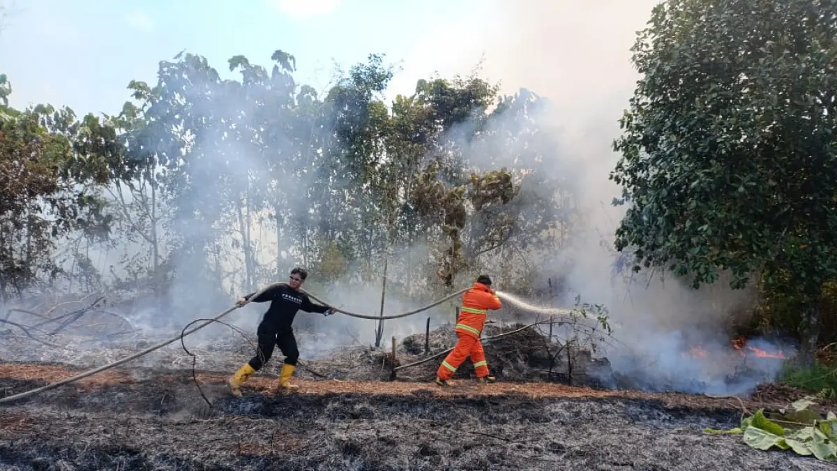 WASPADA: Salah satu titik kebakaran yang terjadi di wilayah Kaltara. FOTO: BPBD KALTARA