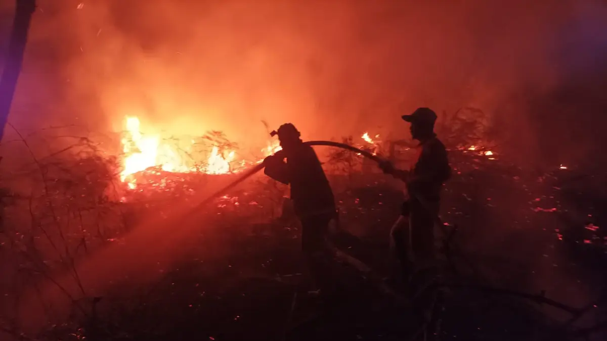 PEMADAMAN : Upaya pemadaman di salah satu lokasi Karhutla di Kaltara.
(Taslee/Radar Tarakan)