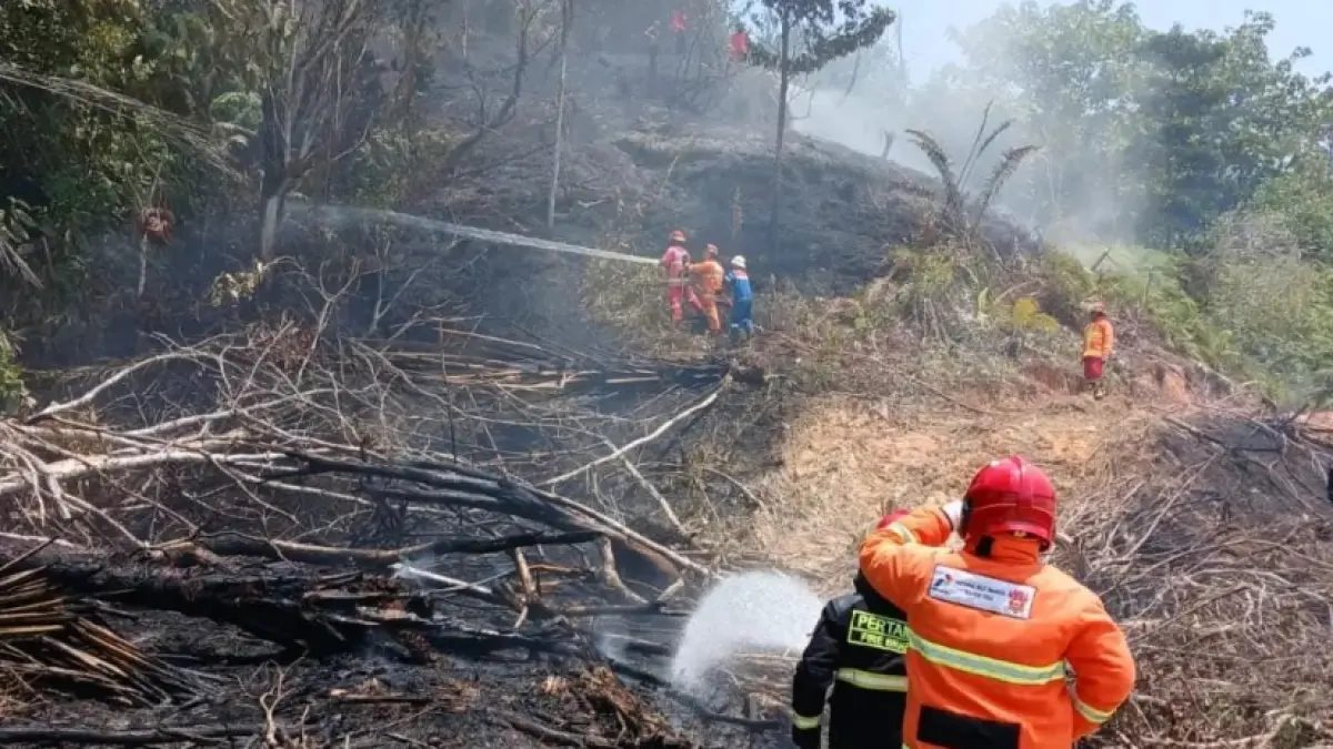 MEMADAMKAN : Aksi Balakar membantu BPBD memadamkan Karhutla di Tarakan. ISTIMEWA