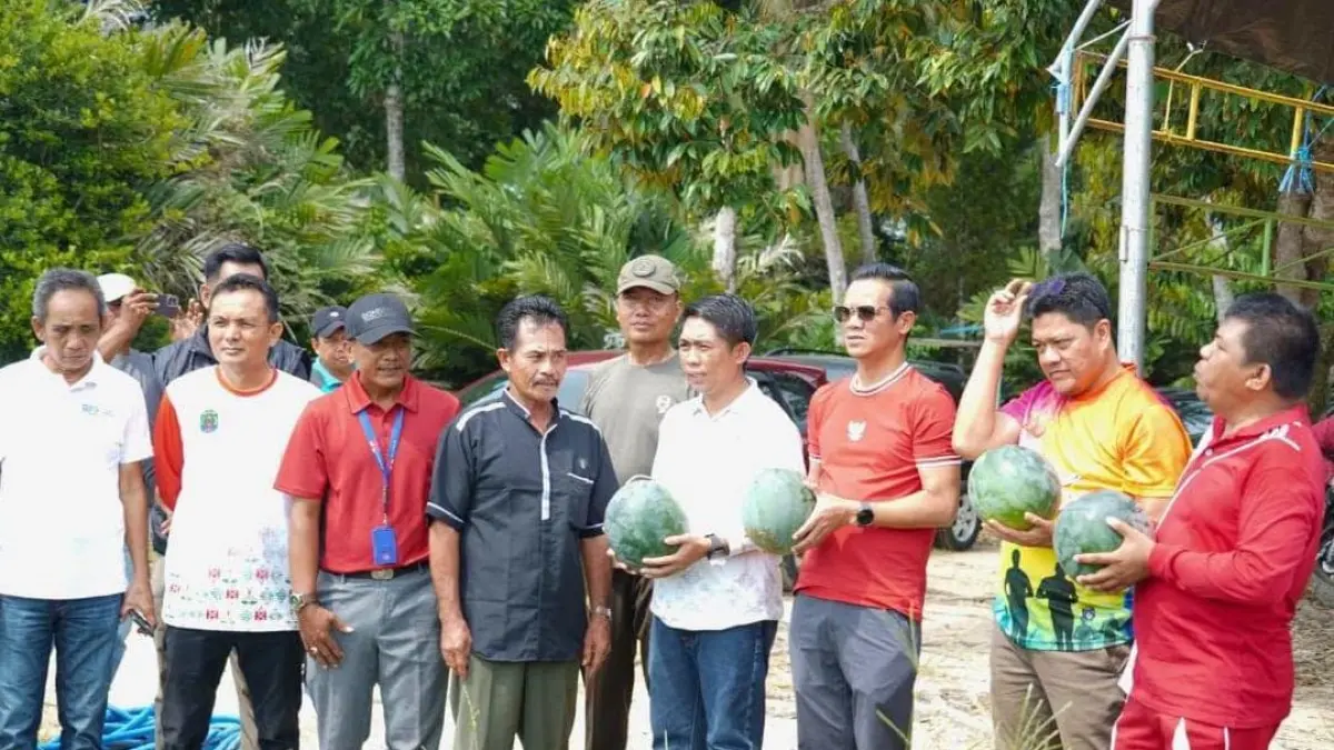 KESEJAHTERAAN : Bupati Nunukan H. Irwan Sabri bersama Kadis Ketahanan Pangan dan Pertanian Nunukan, Masniadi saat panen perdana semangka dan jagung manis garapan Kelompok Tani Harapan Sejahtera di Kampung Baru. PEMKAB NUNUKAN