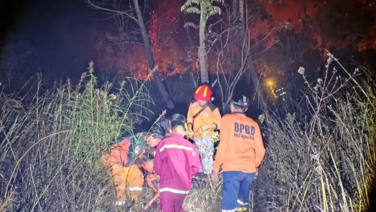 PEMADAMAN : Personel gabungan dari BPBD Nunukan, Polres Nunukan, Brimob, KPH Nunukan dan warga sekitar berupaya memadamkan kebakaran lahan yang tergolong di Nunukan Selatan beberapa waktu lalu.&nbsp;