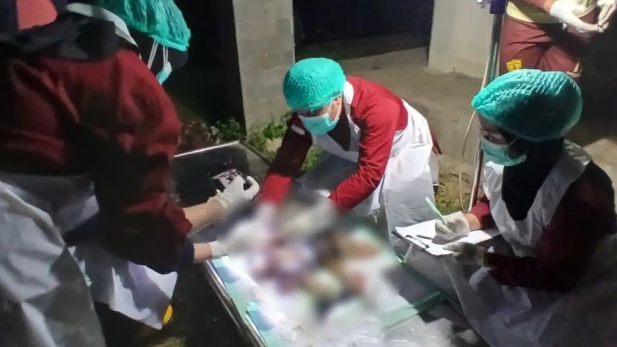 PEMERIKSAAN : Tenaga medis RSU Sebatik melakukan visum terhadap jasad bayi perempuan yang ditemukan di wilayah perbatasan Desa Padaidi dan Desa Sungai Manurung, Kecamatan Sebatik.&nbsp;