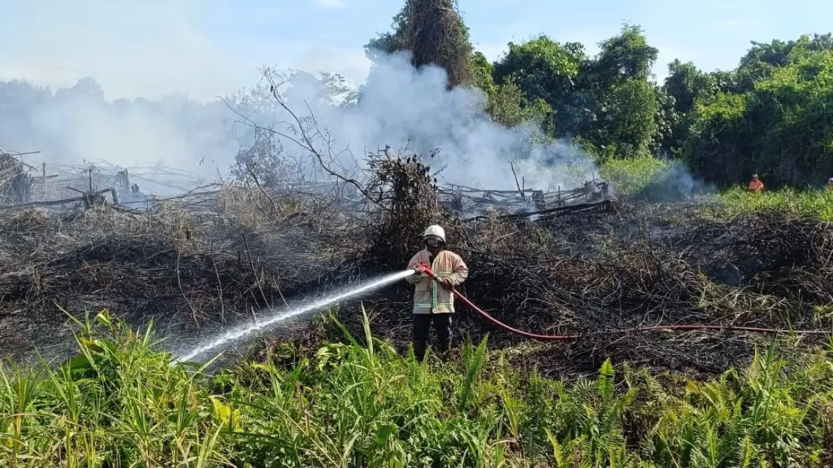 ILUSTRASI: Damkar Malinau saat memadamkan api di salah satu lahan belukar pada 23 Mei 2026 lalu. FOTO: DIPA/RADAR TARAKAN