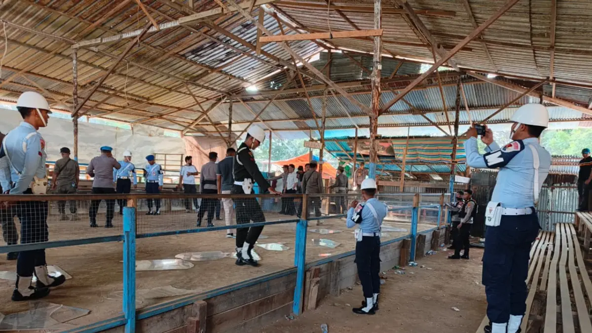 PENERTIBAN: Arena sabung ayam yang dilakukan penertiban merupakan gelanggang baru setelah beberapa lalu sudah dilakukan penertiban. POLRES TARAKAN&nbsp;