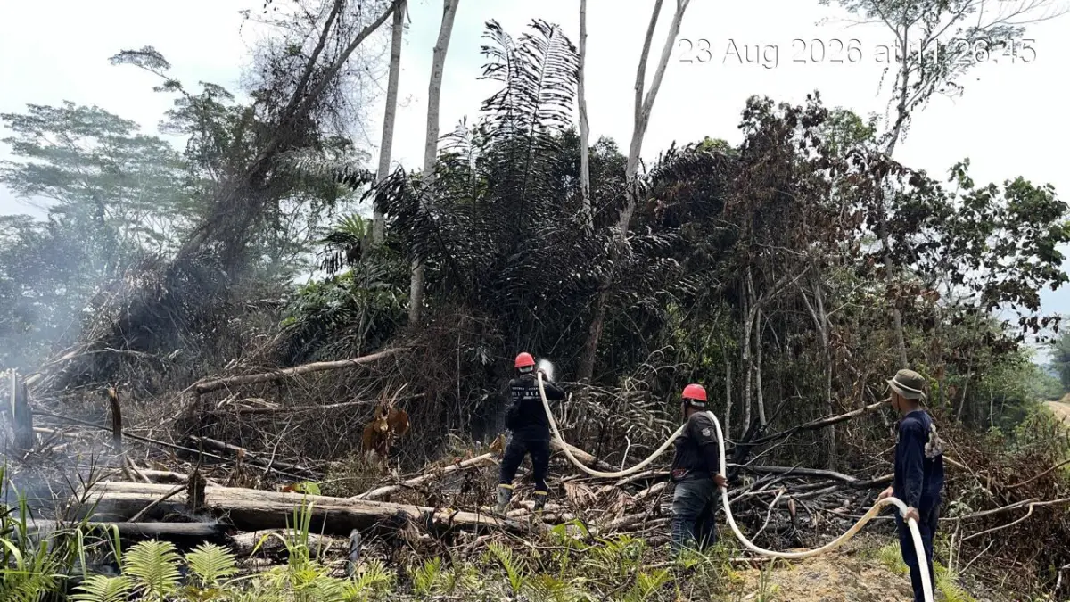 KARHUTLA : Hingga saat ini, KPH Kota Tarakan mencatat sekitar 44 kejadian karhutla yang telah ditangani.