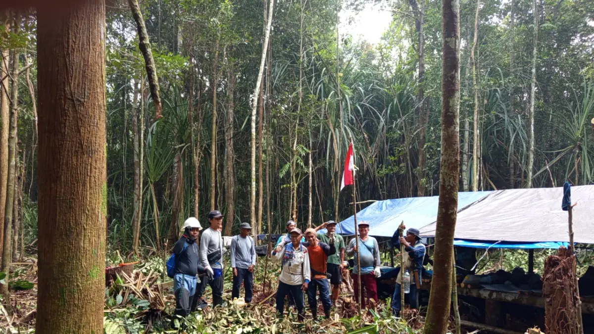 MERINTIS : Warga merintis lahan pertanian dan perkebunan di sepanjang rencana jalan poros provinsi.