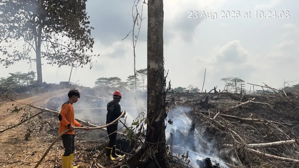 TANGANI : Dari puluhan kasus karhutla di Kota Tarakan belum ada pelaku yang diamankan.&nbsp;ISTIMEWA