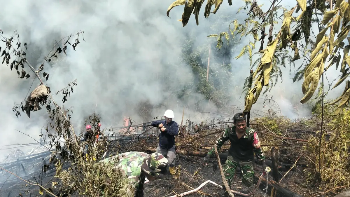 KEBAKARAN LAHAN : Petugas gabungan melakukan pemadaman di lokasi kebakaran di Bulungan.
