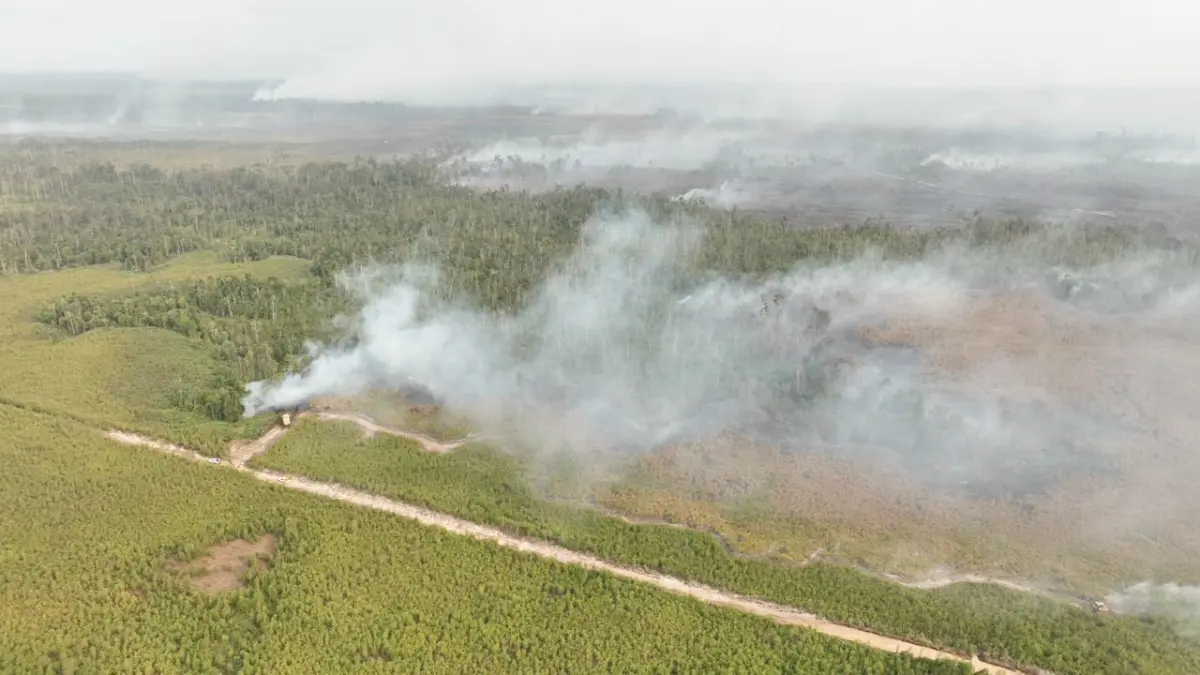 FOTO UDARA : Kepulan asap pekat dan lahan yang terbakar di wilayah Bulungan.