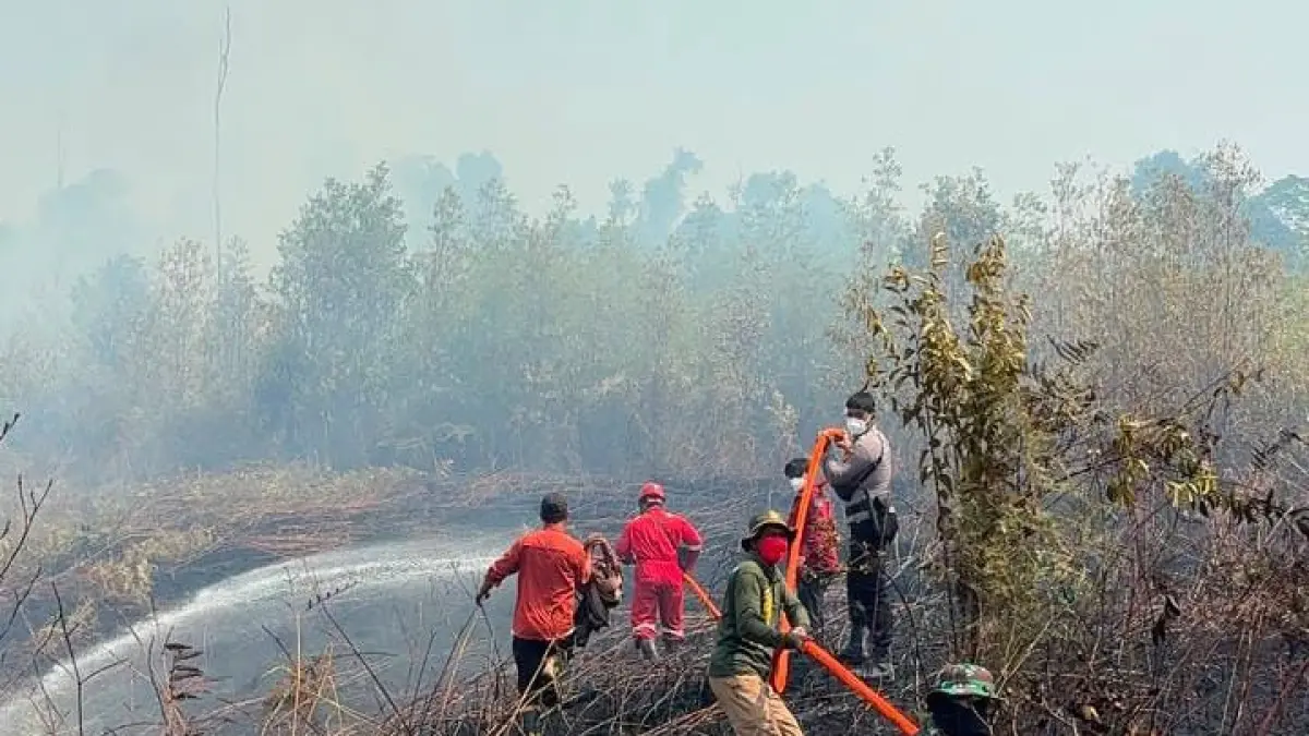 KARHUTLA: Proses pemadaman api pada salah satu titik kebakaran di Tanjung Palas Timur, Bulungan. FOTO: DISHUT KALTARA