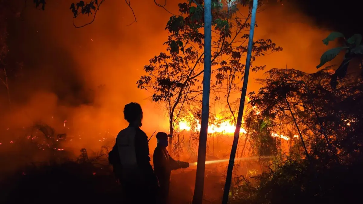 KOBARAN KARHUTLA : Petugas berupaya memadamkan kobaran api yang melanda kawasan hutan dan lahan di tengah kondisi malam hari.

