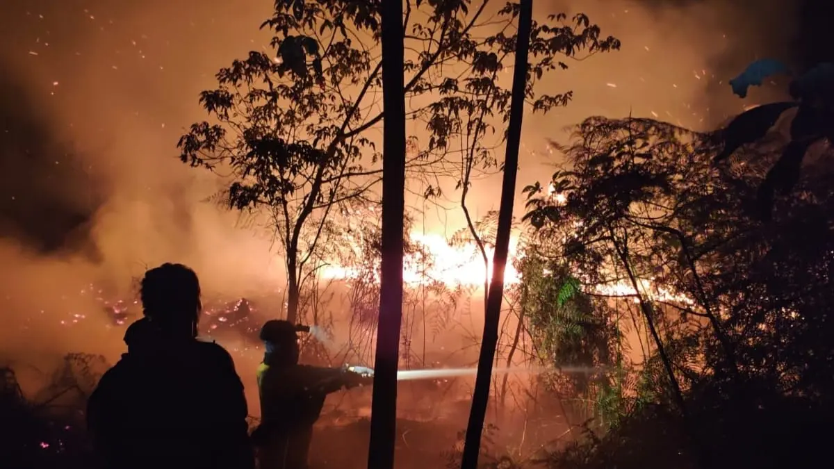 KARHUTLA: Petugas berjibaku memadamkan karhutla yang membara di kawasan hutan.