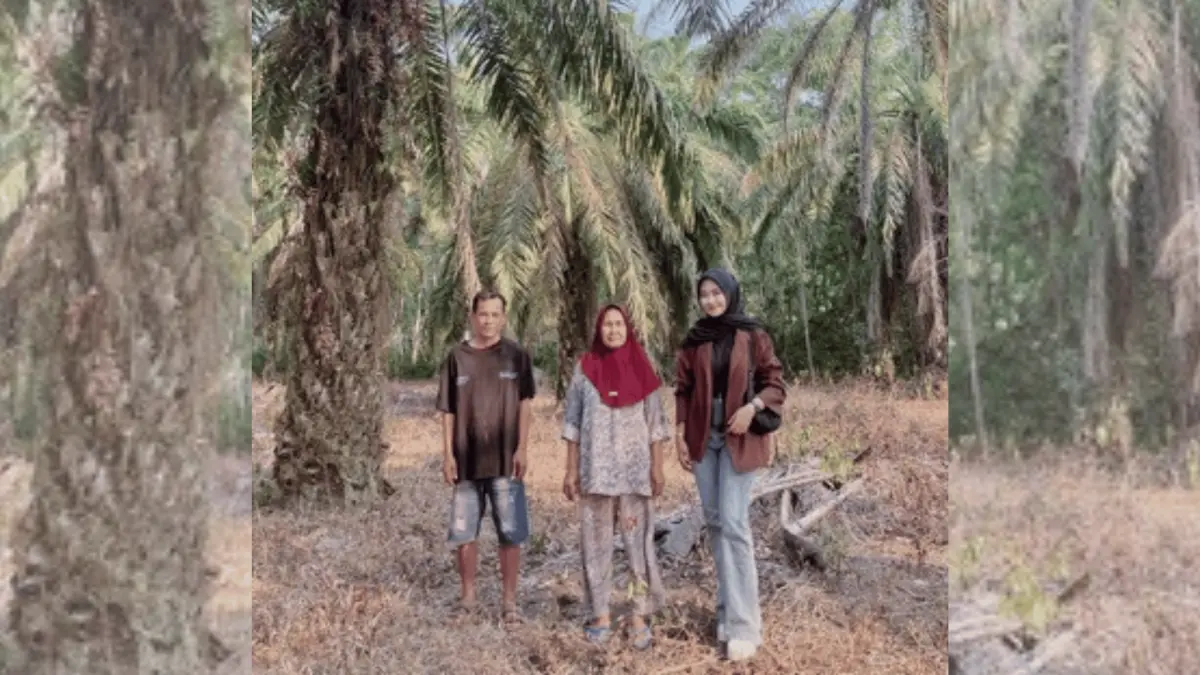 Alifia Naura Nazifah, Mantri BRI Unit Sumber Hidup, bersama debitur saat mengunjungi perkebunan kelapa sawit di wilayah Kayuagung, Sumatera Selatan.