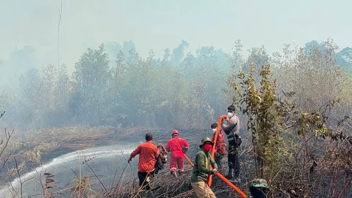 SINERGI: Karhutla yang terjadi di Kaltara menjadi atensi khusus untuk disikapi secara serius. FOTO: RADAR TARAKAN