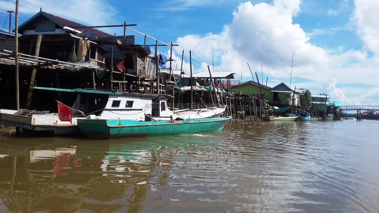 banyak-ikan-mati-muara-bulungan-diduga-tercemar