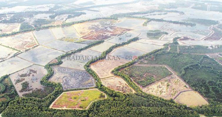 giz-baru-35-persen-yang-terdata