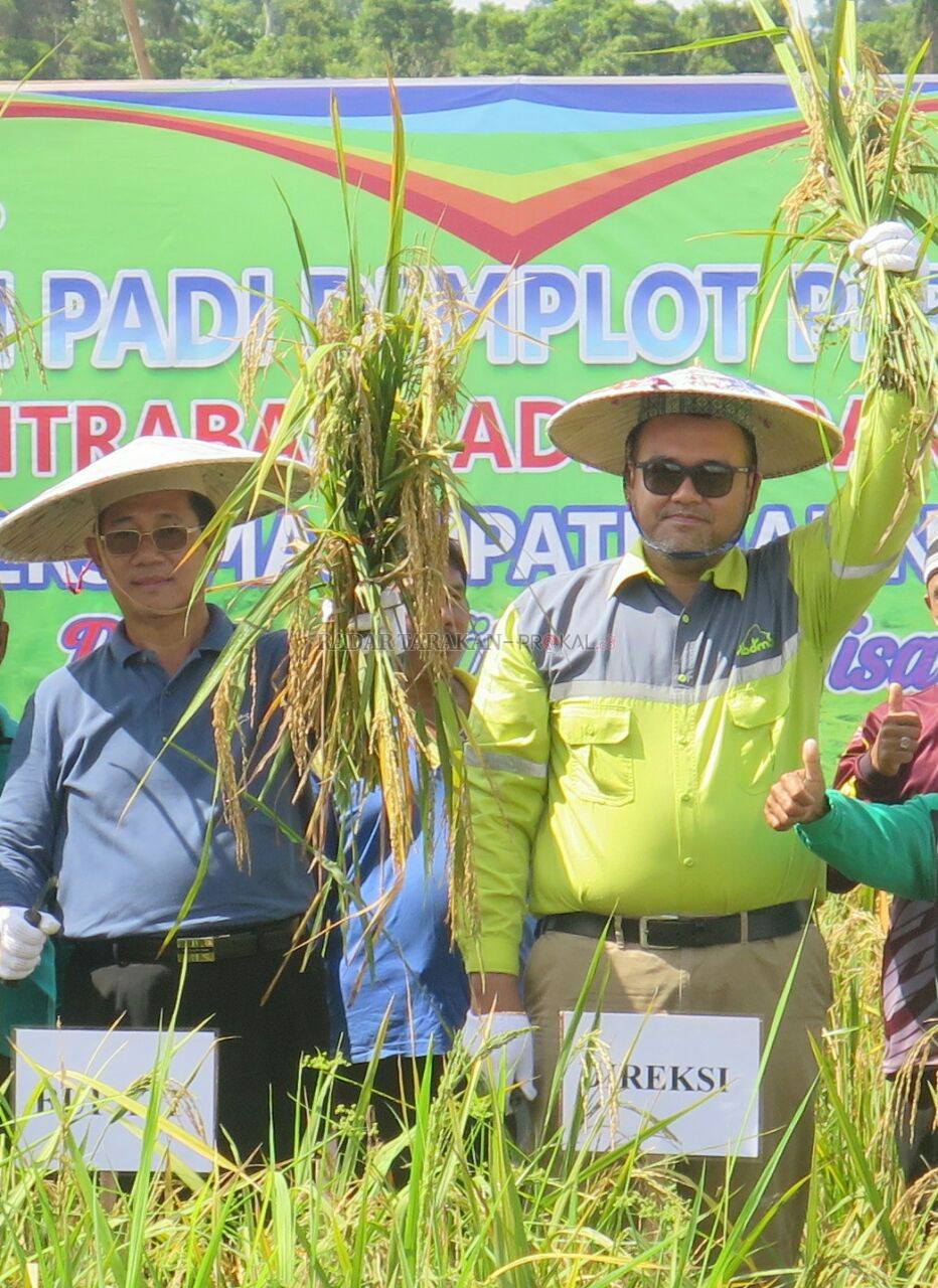 pt-bdms-ma-sudah-siapkan-time-land-dan-replikasinya
