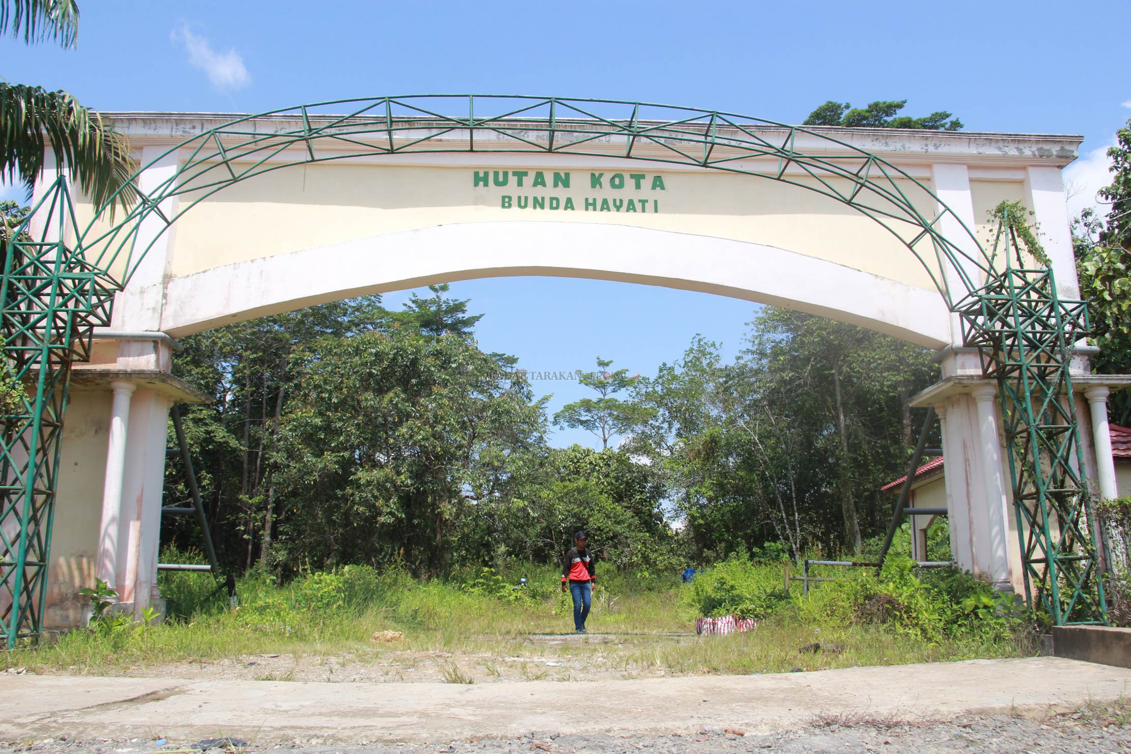 masuk-hutan-kota-akan-dikenakan-retribusi