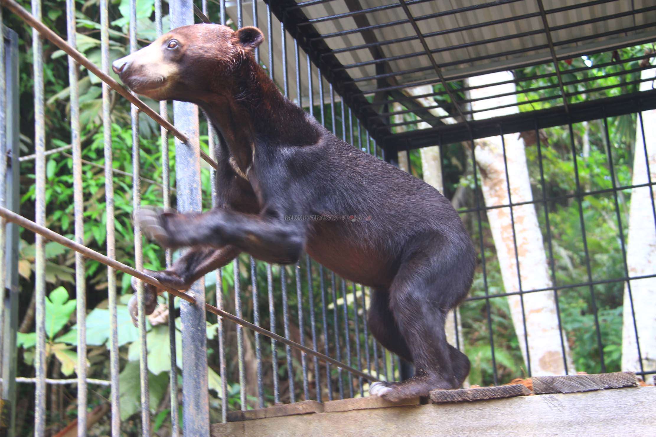 minim-anggaran-cuma-periksa-kotoran