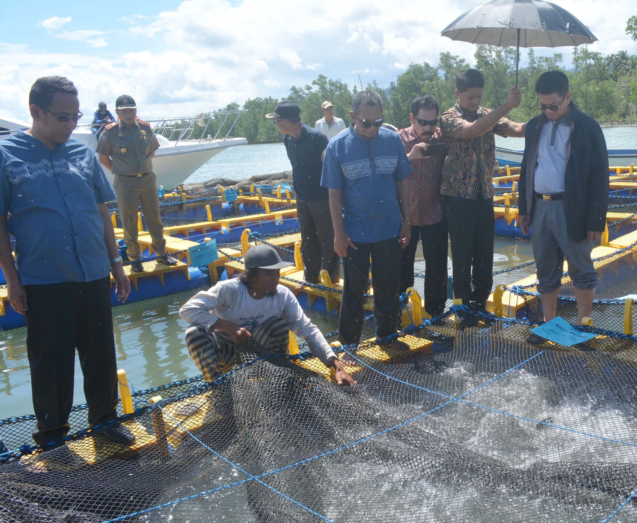 pulau-cermin-dijadikan-kawasan-konservasi-kepiting