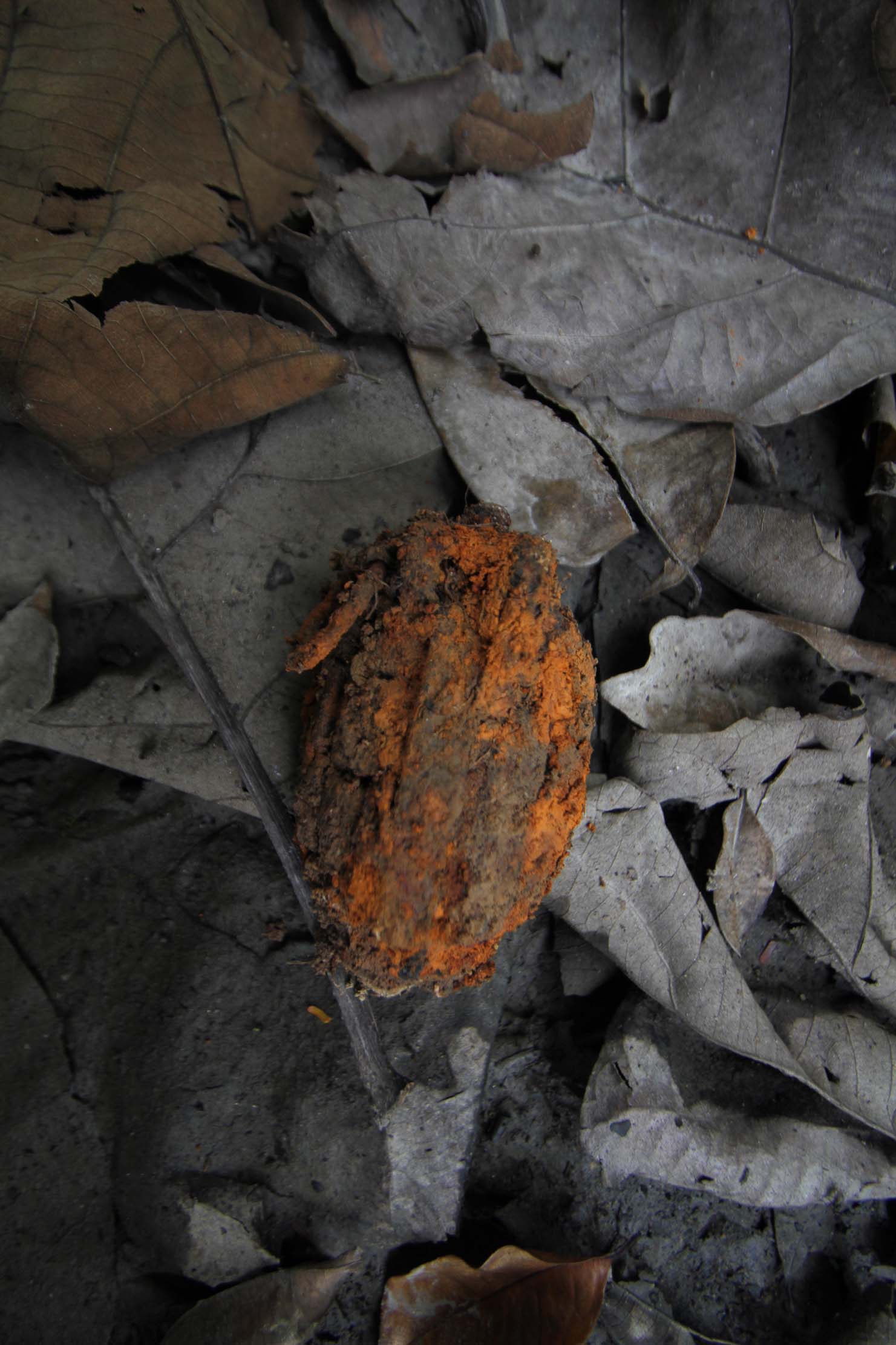 warga-temukan-granat-aktif