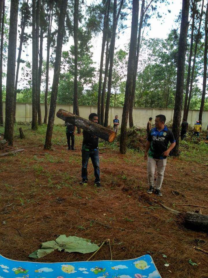 sulap-hutan-pinus-jadi-lokasi-wisata
