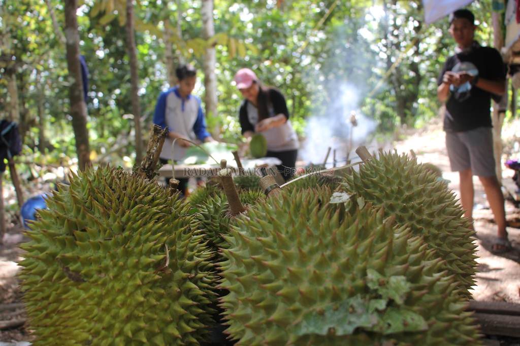 cicipi-sembari-mendengar-durian-jatuh-dari-pohon