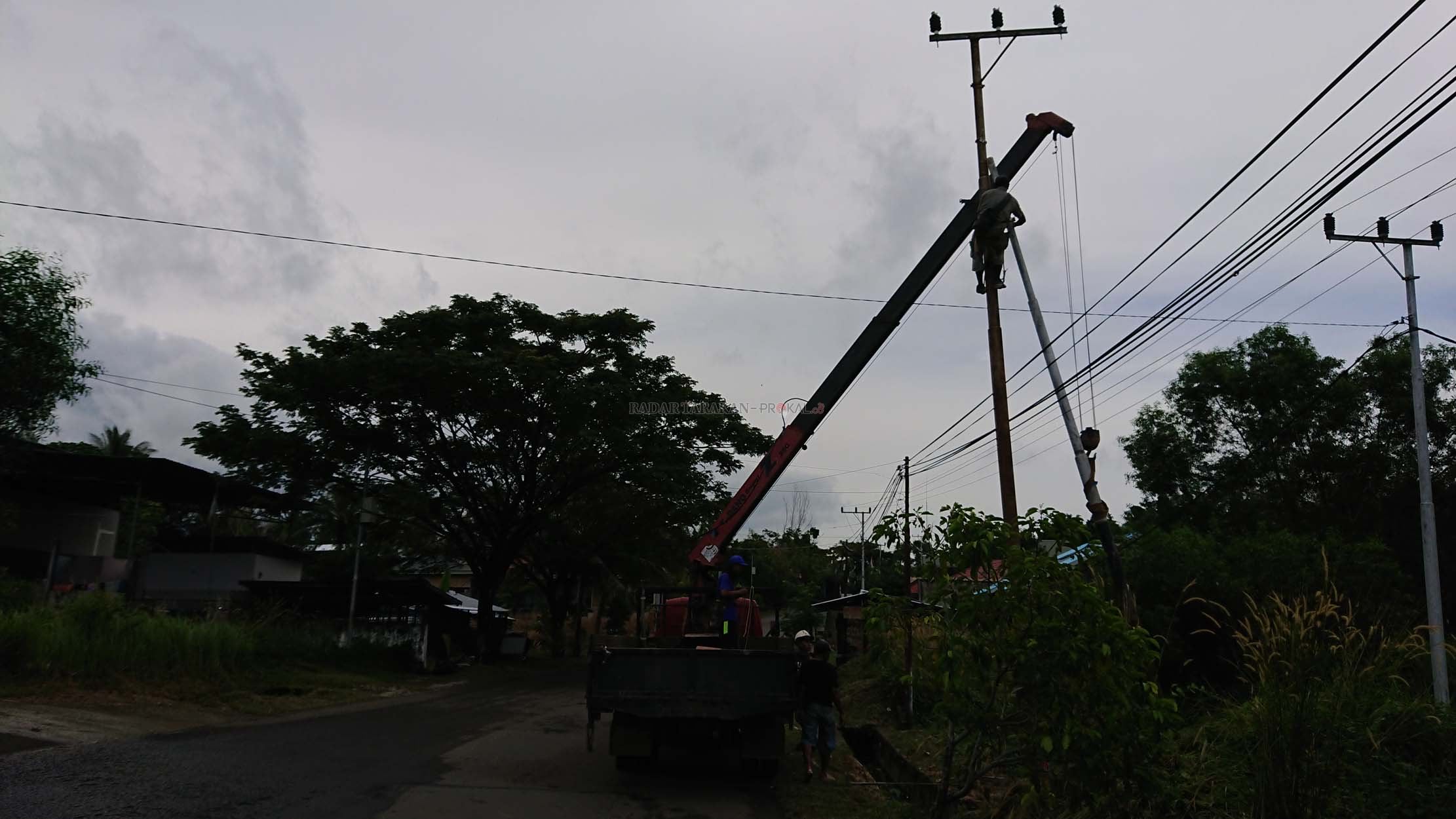 pln-dilarang-tebang-pohon-di-jalur-hijau