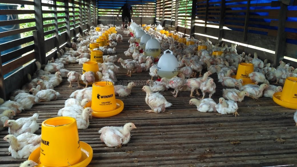 rph-dan-rpu-akan-difungsikan