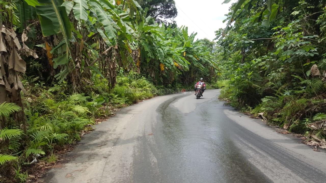 banyak-tikungan-curam-tidak-adanya-penerangan-jalan