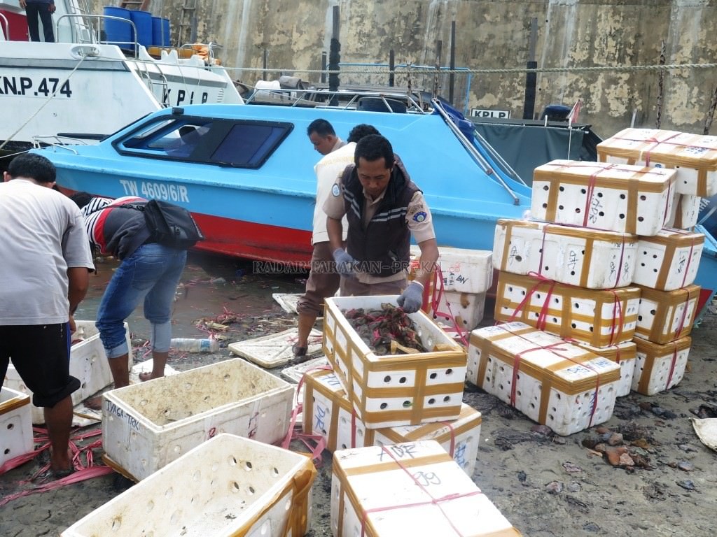 modus-pengiriman-kepiting-bertelur