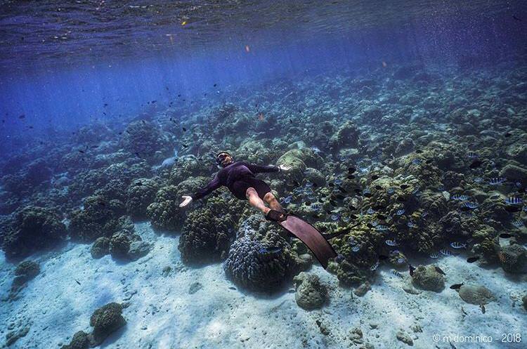 menyatu-dengan-alam-mengitari-keindahan-bawah-laut