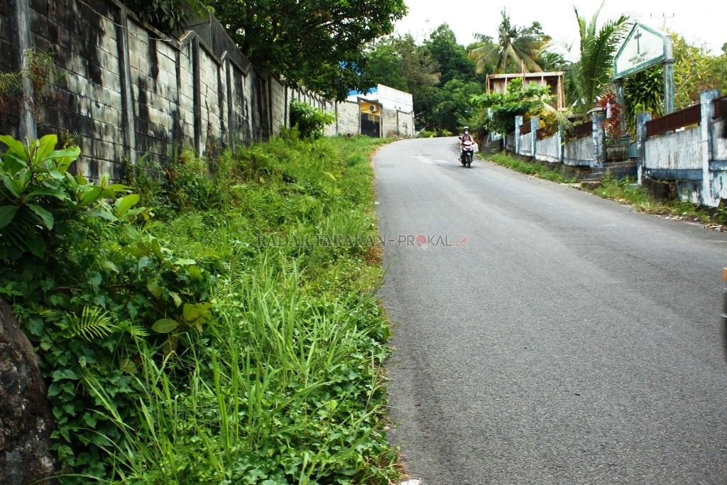 drainase-tertutup-tanaman-liar