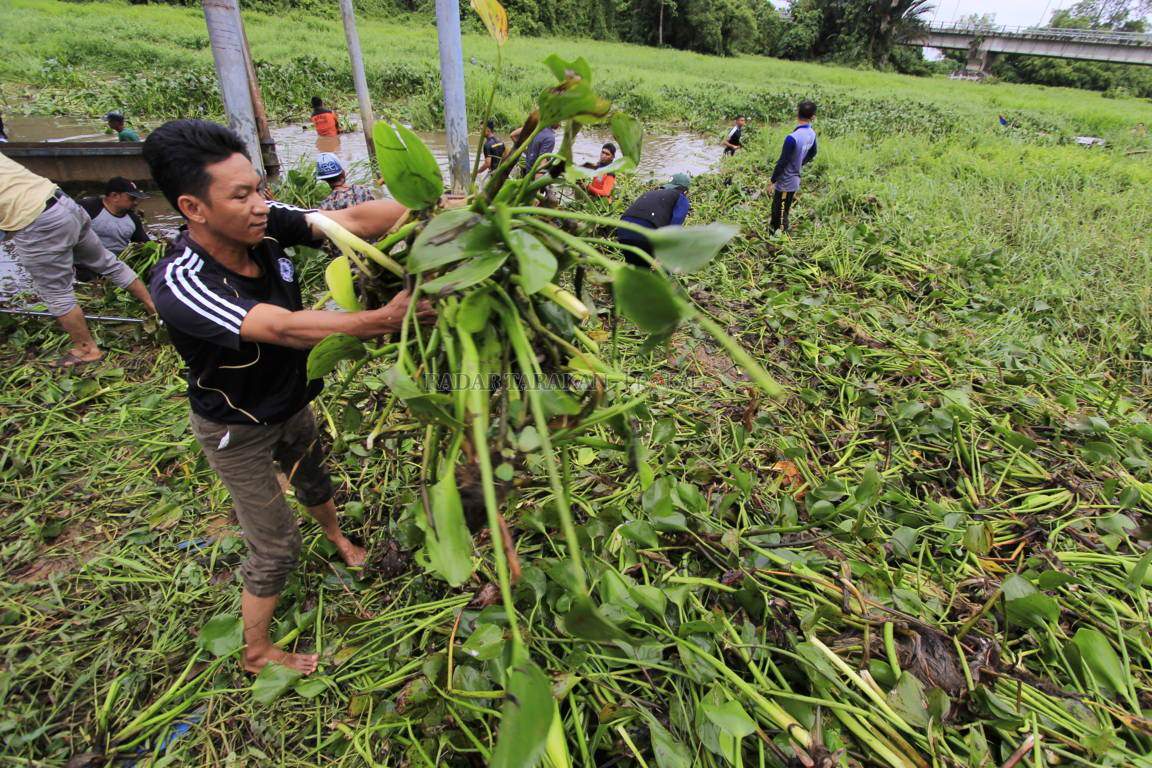 pemprov-turunkan-alat-berat-bersihkan-eceng-gondok