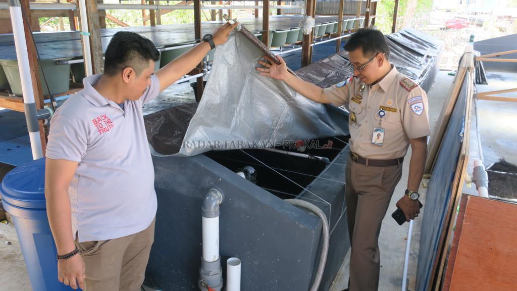 perlu-ada-aturan-khusus-mengenai-hatchery