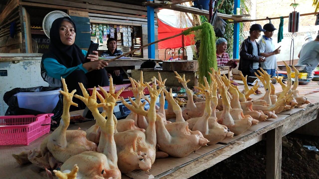 harga-ayam-tembus-rp-50-ribu