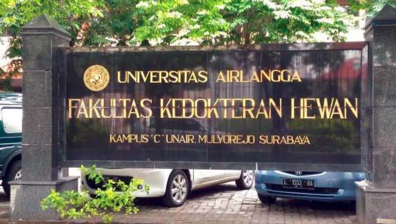 mengapa-di-indonesia-profesi-dokter-hewan-masih-sering-dianggap-remeh