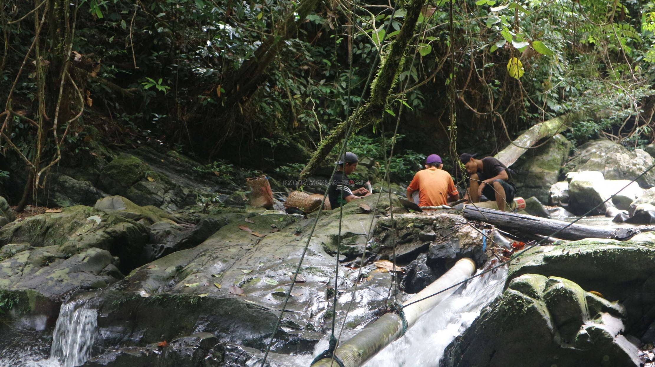 begini-perjuangan-melestarikan-jantung-hutan-borneo